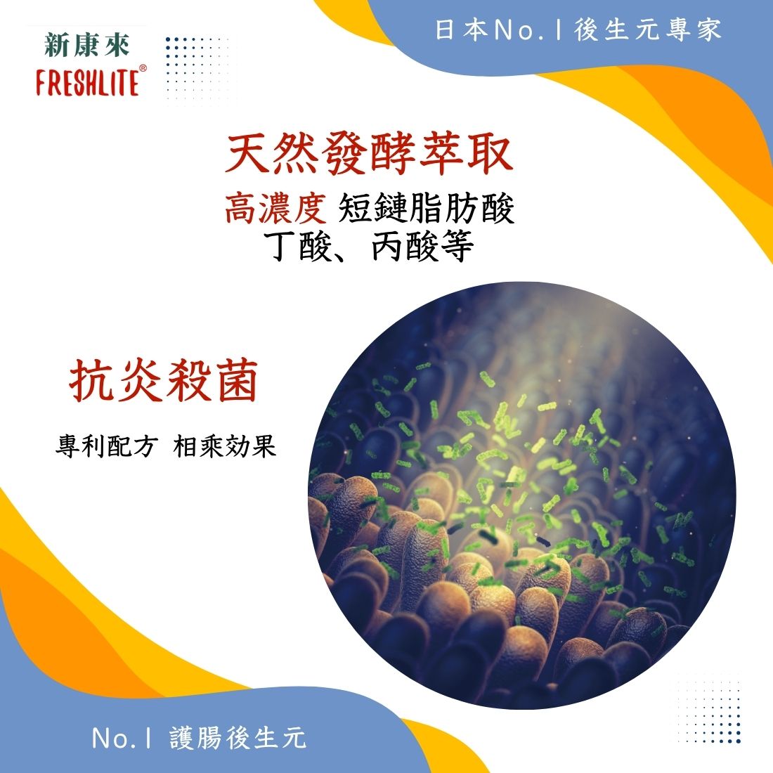 腸活習慣｜第3代清腸排毒配方