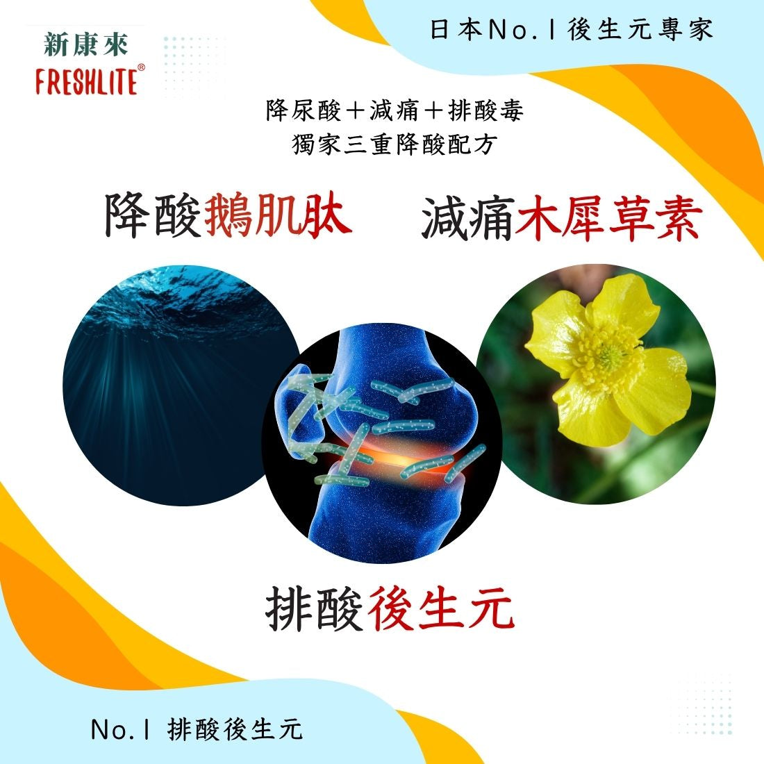 尿酸對策｜降酸減痛排酸配方